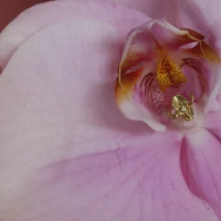 Anissa Kermiche Des Boucles D'Oreilles<Goujon Iris-Istible